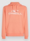 O'Neill Logo Hoodie