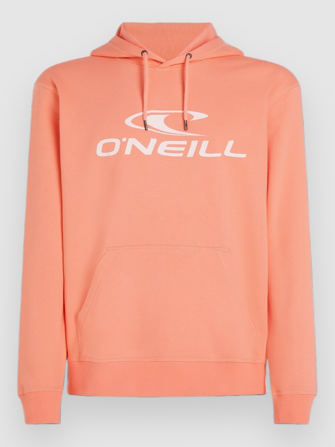 O'Neill Logo Hoodie