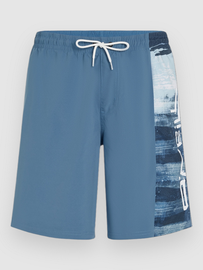 O'Neill Retro 19″ Boardshorts