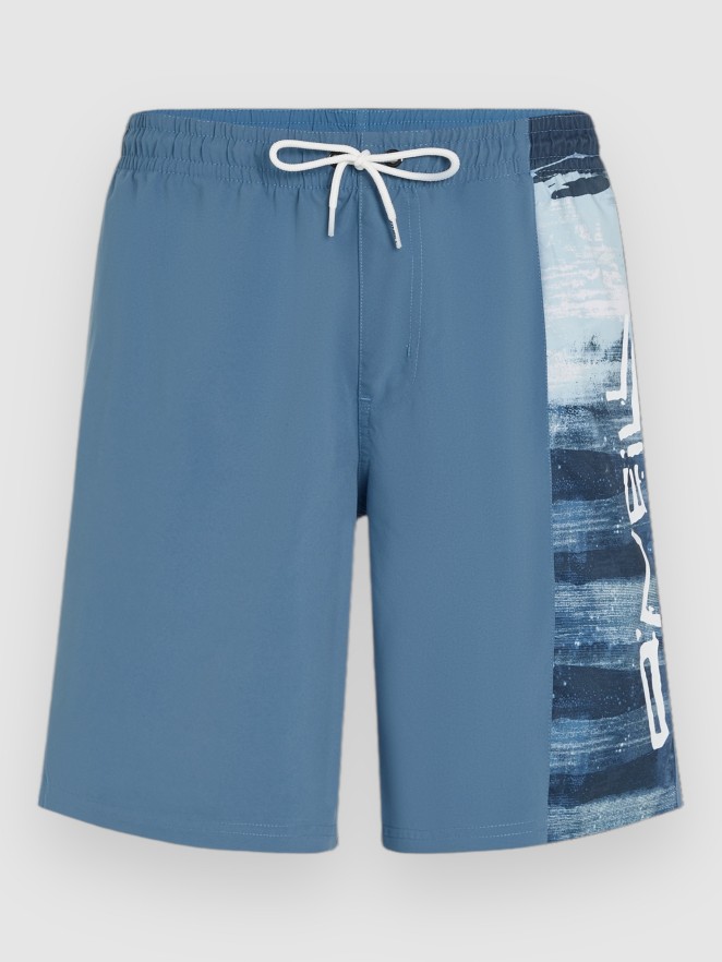 O'Neill Retro 19″ Boardshorts