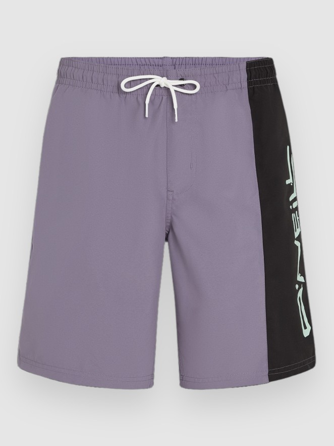 O'Neill Retro 19″ Boardshorts