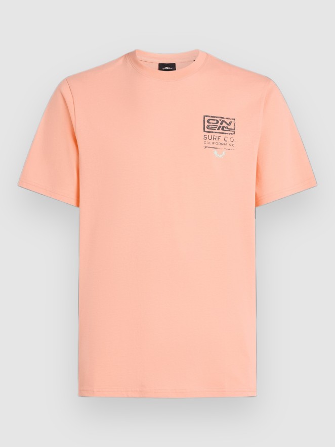 O'Neill Retro Graphic T-paita