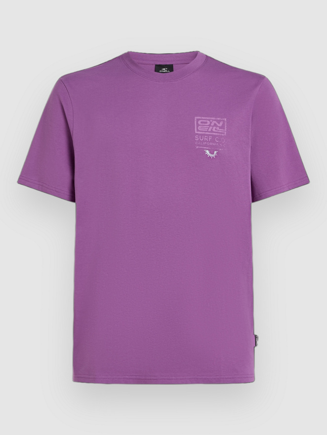 O'Neill Retro Graphic T-Shirt