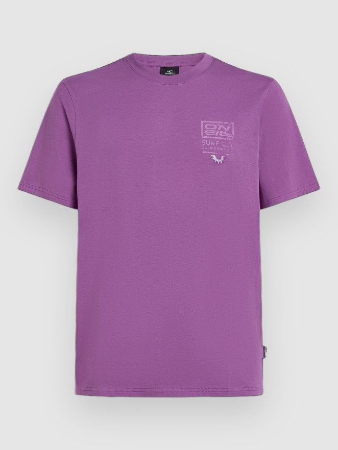 O'Neill Retro Graphic T-paita