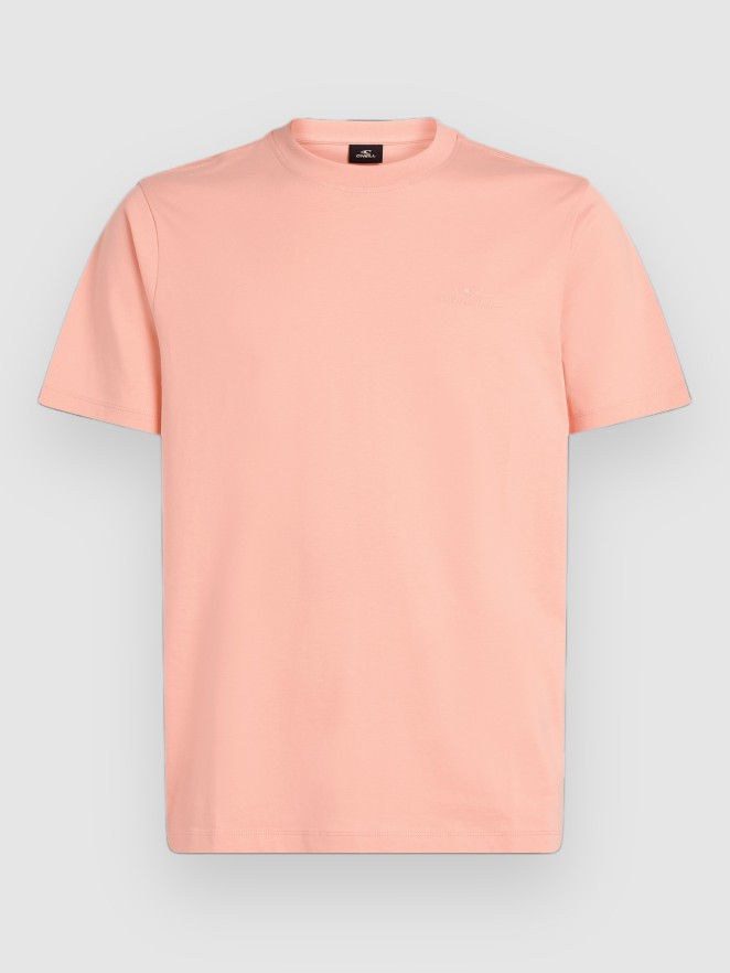 O'Neill Small Logo T-Shirt