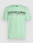 mildrew mint