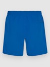 O'Neill Vert 16'' Boardshorts