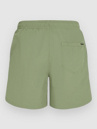 O'Neill Vert 16'' Boardshorts