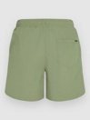 O'Neill Vert 16'' Boardshorts
