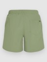 O'Neill Vert 16'' Boardshorts