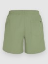 O'Neill Vert 16'' Boardshorts