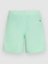 O'Neill Vert 16'' Boardshorts