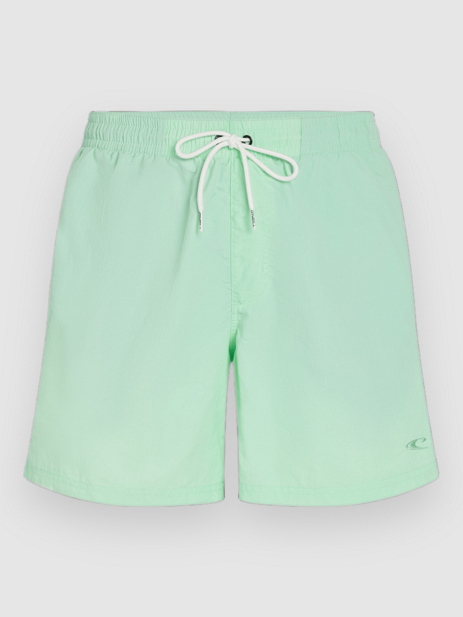 O'Neill Vert 16'' Boardshorts