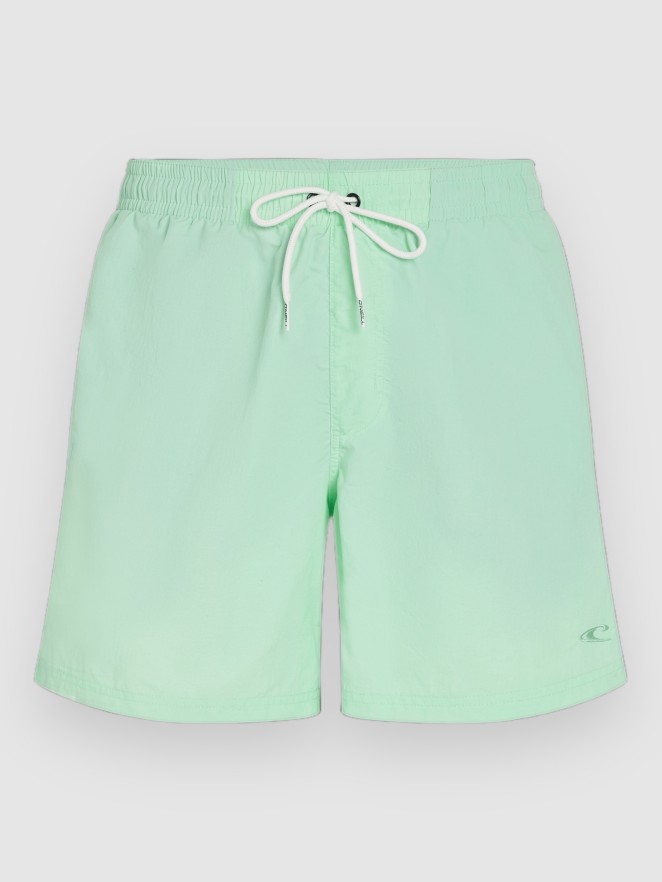 O'Neill Vert 16'' Boardshorts
