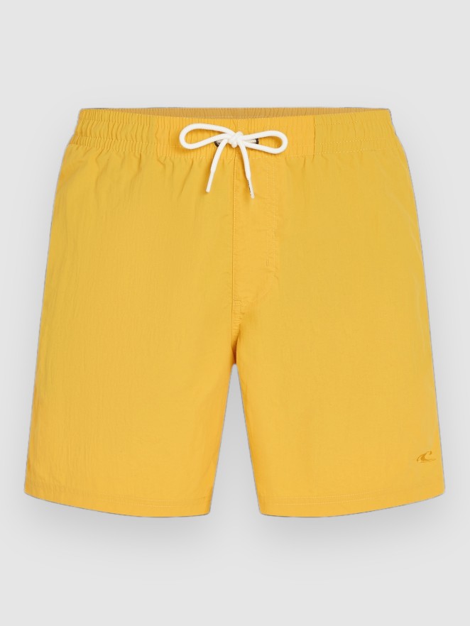 O'Neill Vert 16'' Boardshorts