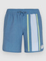 blue org longboard stripe