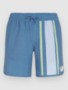blue org longboard stripe