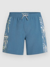 O'Neill O'Riginals Side Panel 16″ Boardshorts