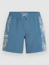 O'Neill O'Riginals Side Panel 16″ Boardshorts