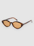 brown tortoise/brown