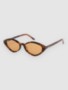 brown tortoise/brown