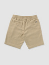 Volcom Frickin Ew 19 Shorts