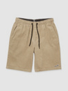 Volcom Outer Spaced 21 Shorts