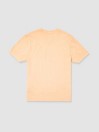 Volcom Worldly Pw T-Shirt