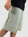 REELL Belmont Shorts