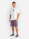 REELL Soft Shorts
