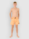 Rip Curl Offset Volley Kids Boardshorts