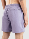 Rip Curl Daily Volley Boardshorts