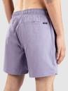 Rip Curl Daily Volley Boardshorts