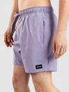 Rip Curl Daily Volley Boardshorts