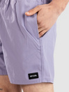 Rip Curl Daily Volley Boardshorts
