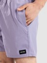 Rip Curl Daily Volley Boardshorts