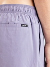 Rip Curl Daily Volley Boardshorts