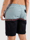 Rip Curl Raw Energy Split Volley Boardshorts
