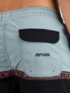 Rip Curl Raw Energy Split Volley Boardshorts