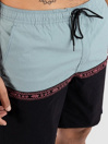 Rip Curl Raw Energy Split Volley Boardshorts