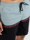 Rip Curl Raw Energy Split Volley Boardshorts