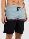 Rip Curl Raw Energy Split Volley Boardshorts