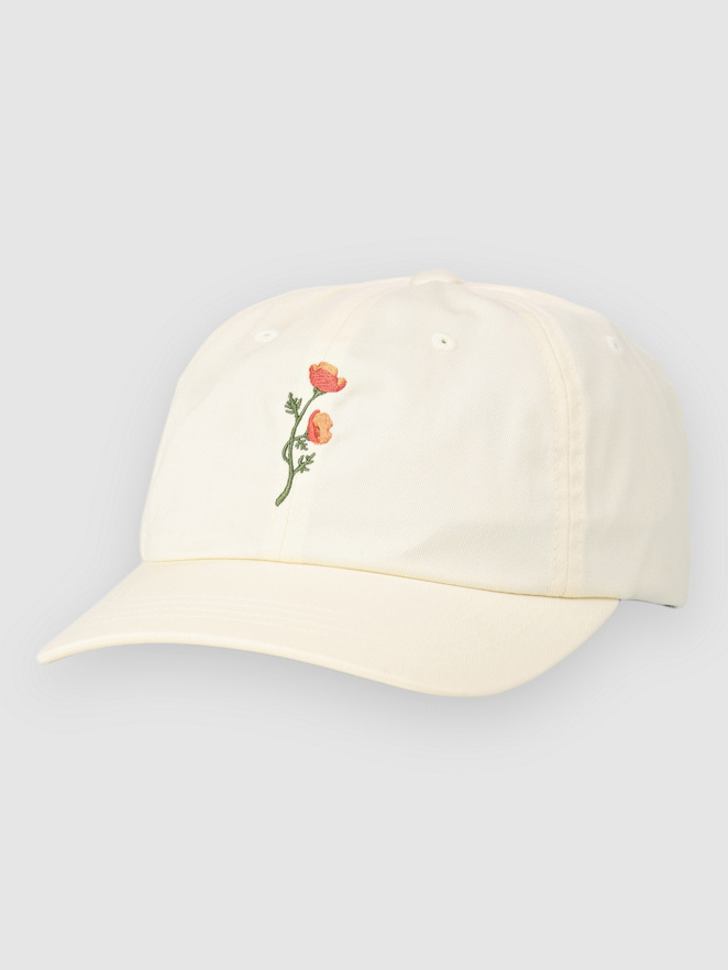 Stance Standard Adjustable Cap