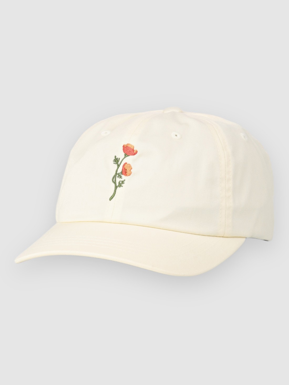 Stance Standard Adjustable Cap canvas