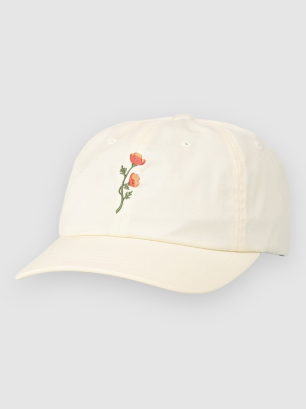 Stance Standard Adjustable Cap canvas