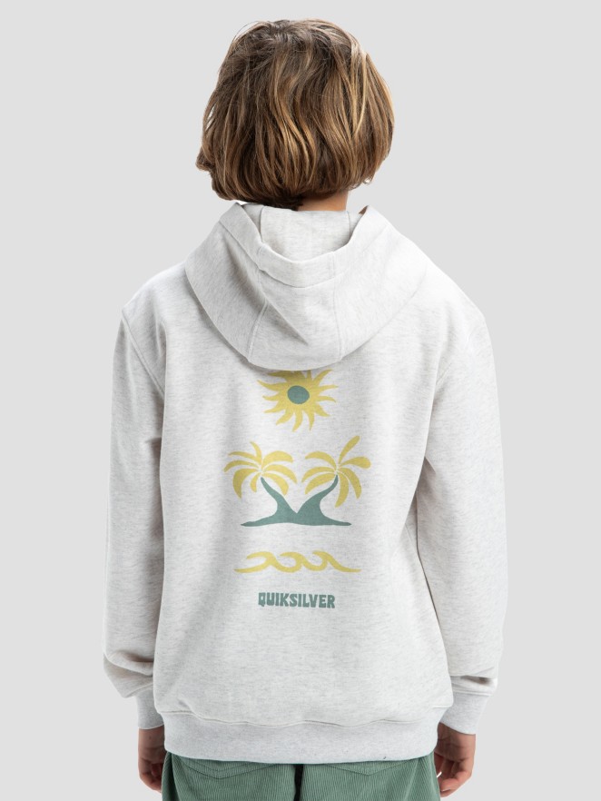 Quiksilver Graphic Kids Sudadera con Capucha