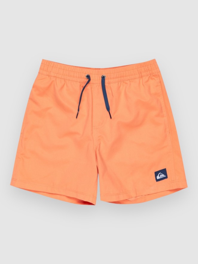 Quiksilver Everyday Solid Volley 14 Kids Boardshorts