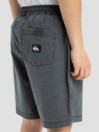 Quiksilver Taxer Kids Short