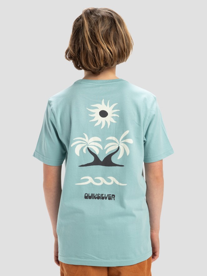 Quiksilver Evo Roads End Kids T-skjorte