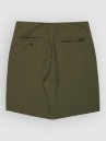Quiksilver Union Amphibian 20 Shorts